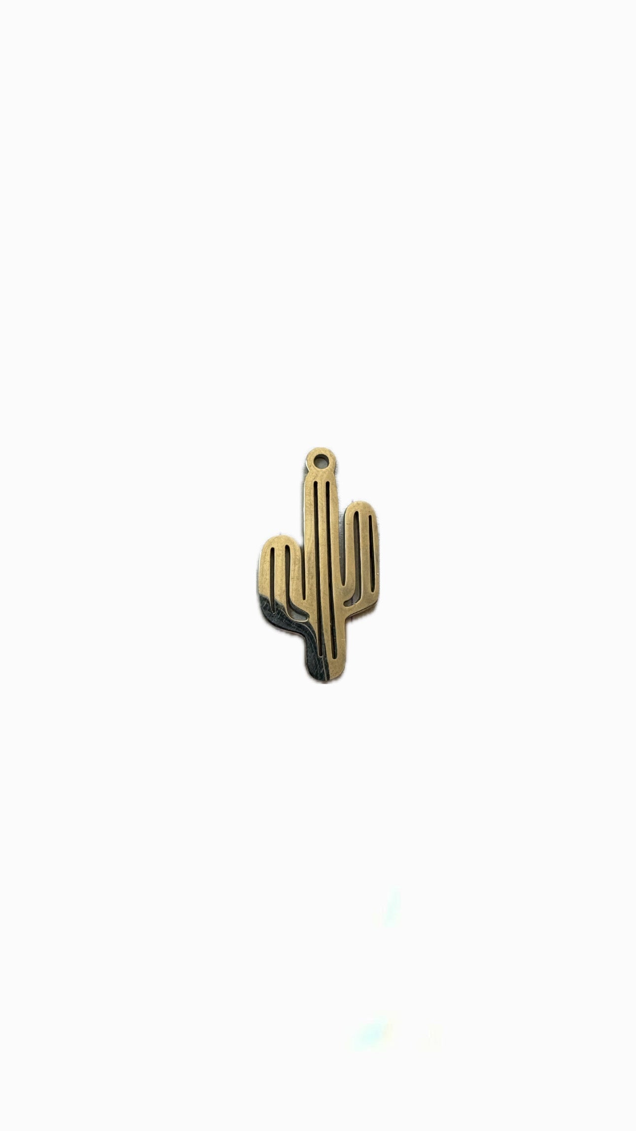 26- Charm Grand cactus