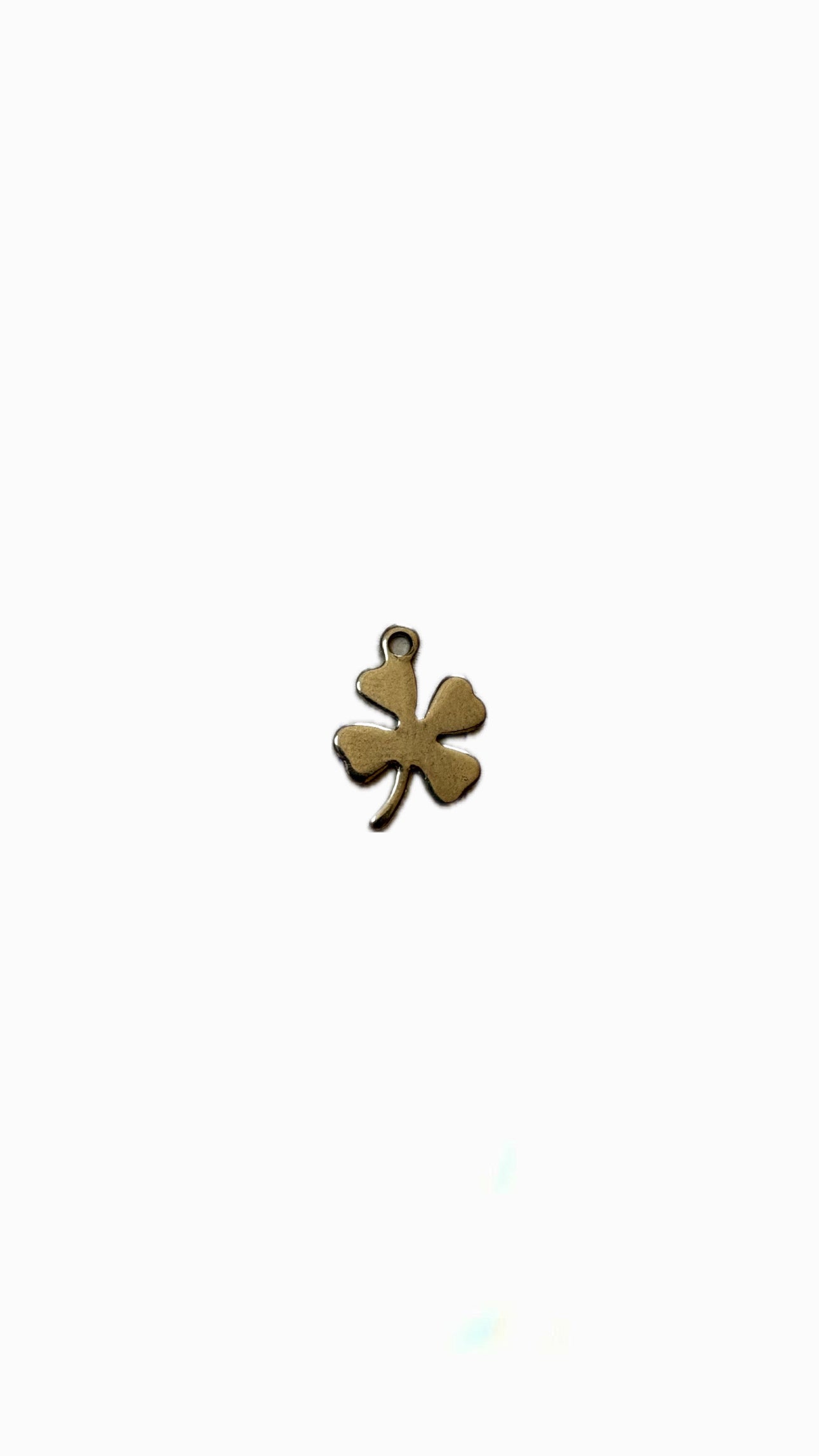 6- Charm petit trèfle