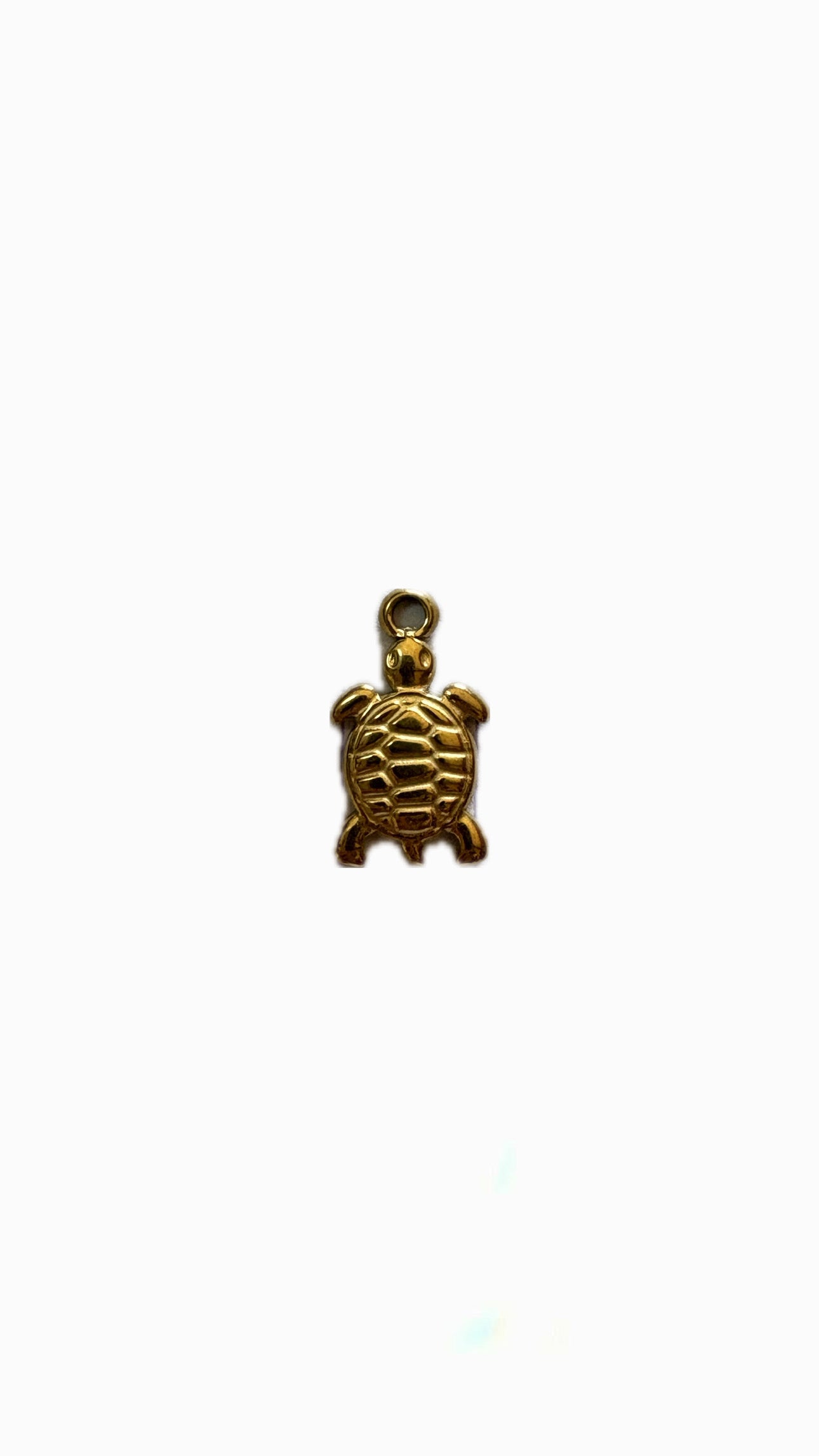 24- Charm Petite tortue