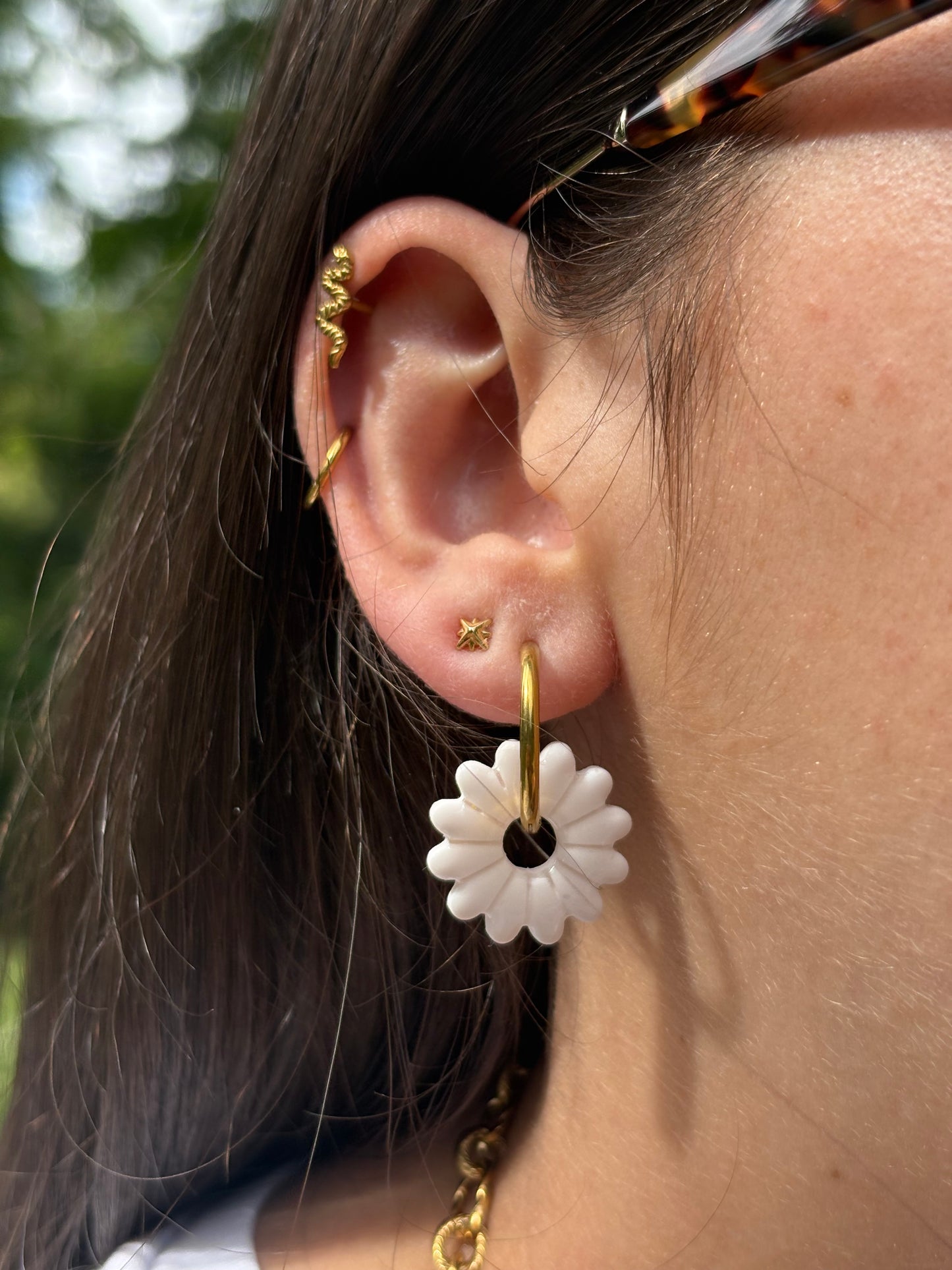 Pampilles marguerite