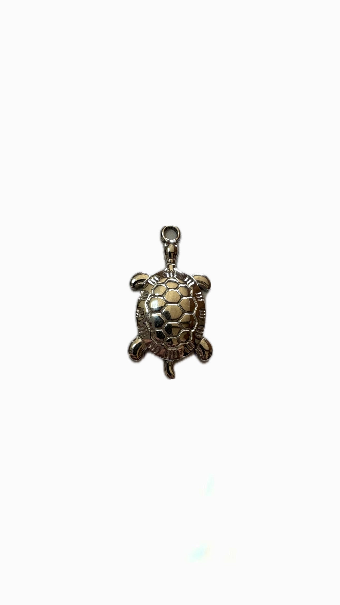 25- Charm Grande tortue
