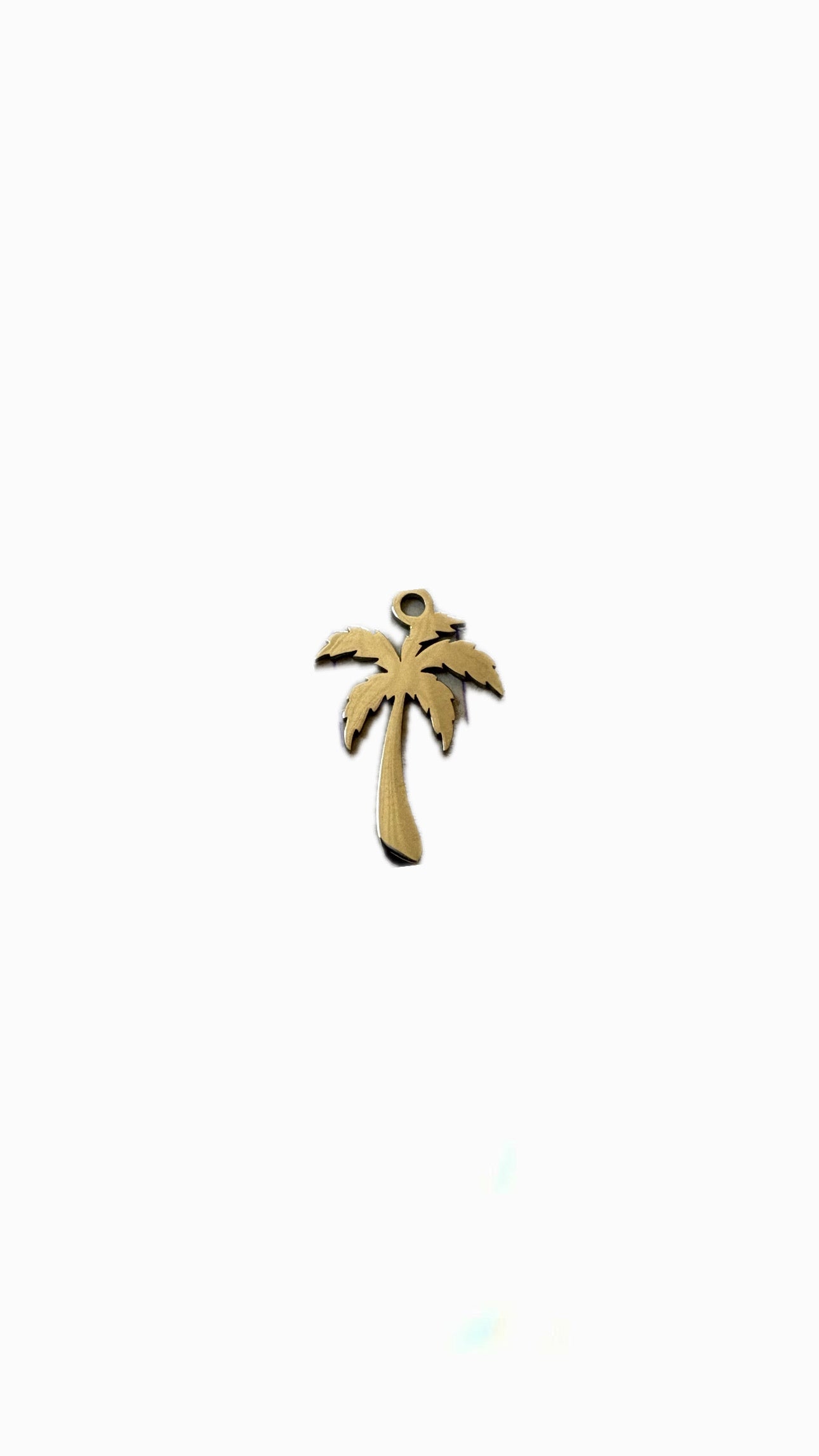 23- Charm Palmier