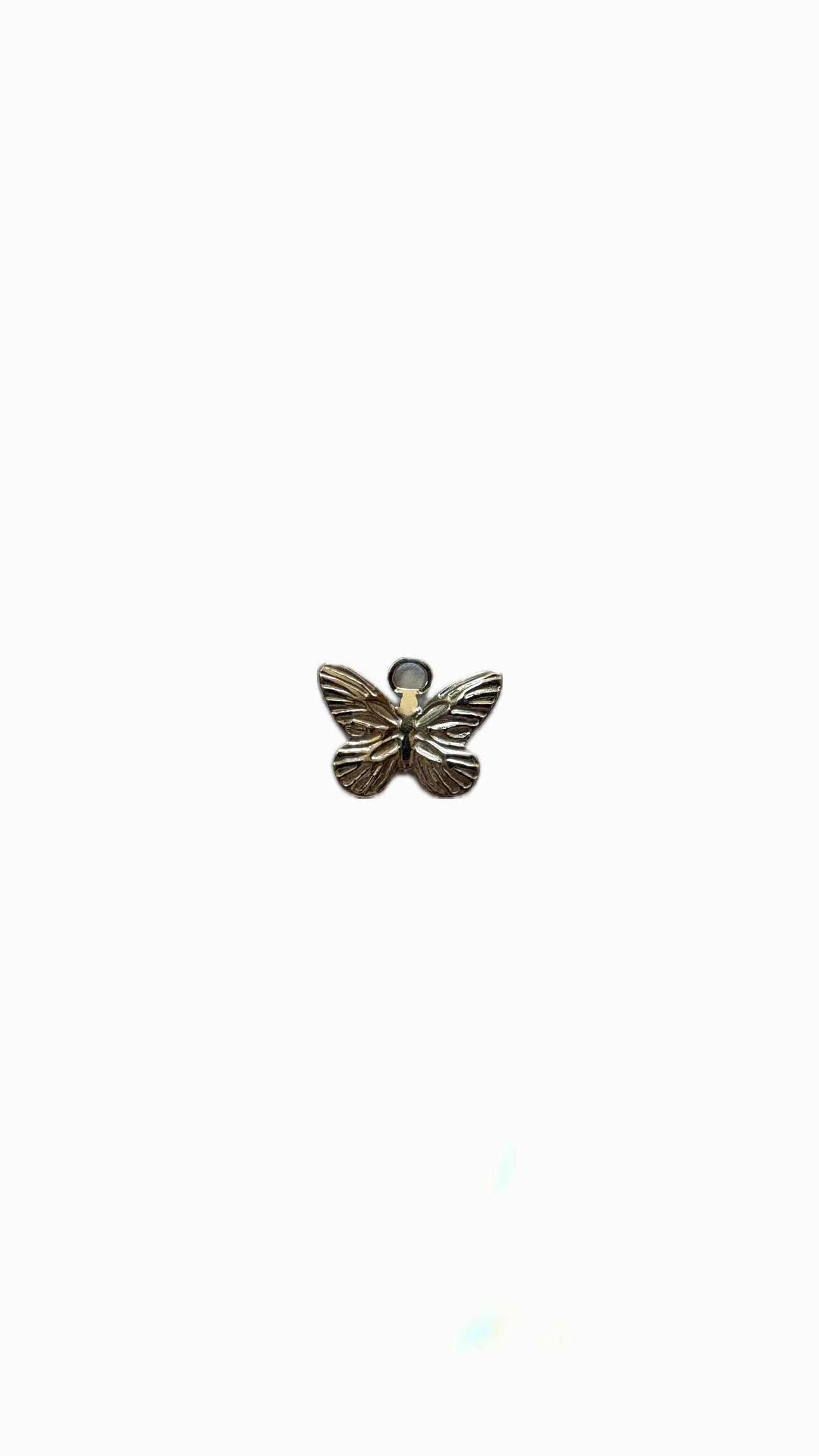 17- Charm Papillon