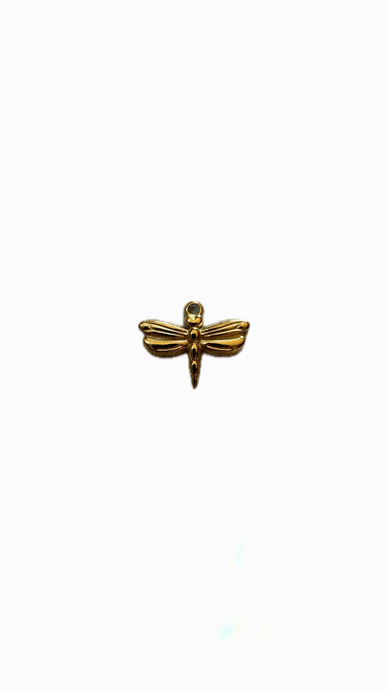 29- Charm Libellule