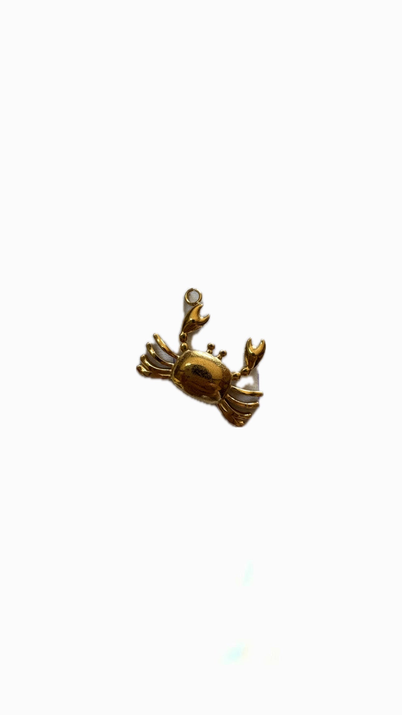 28- Charm Crabe