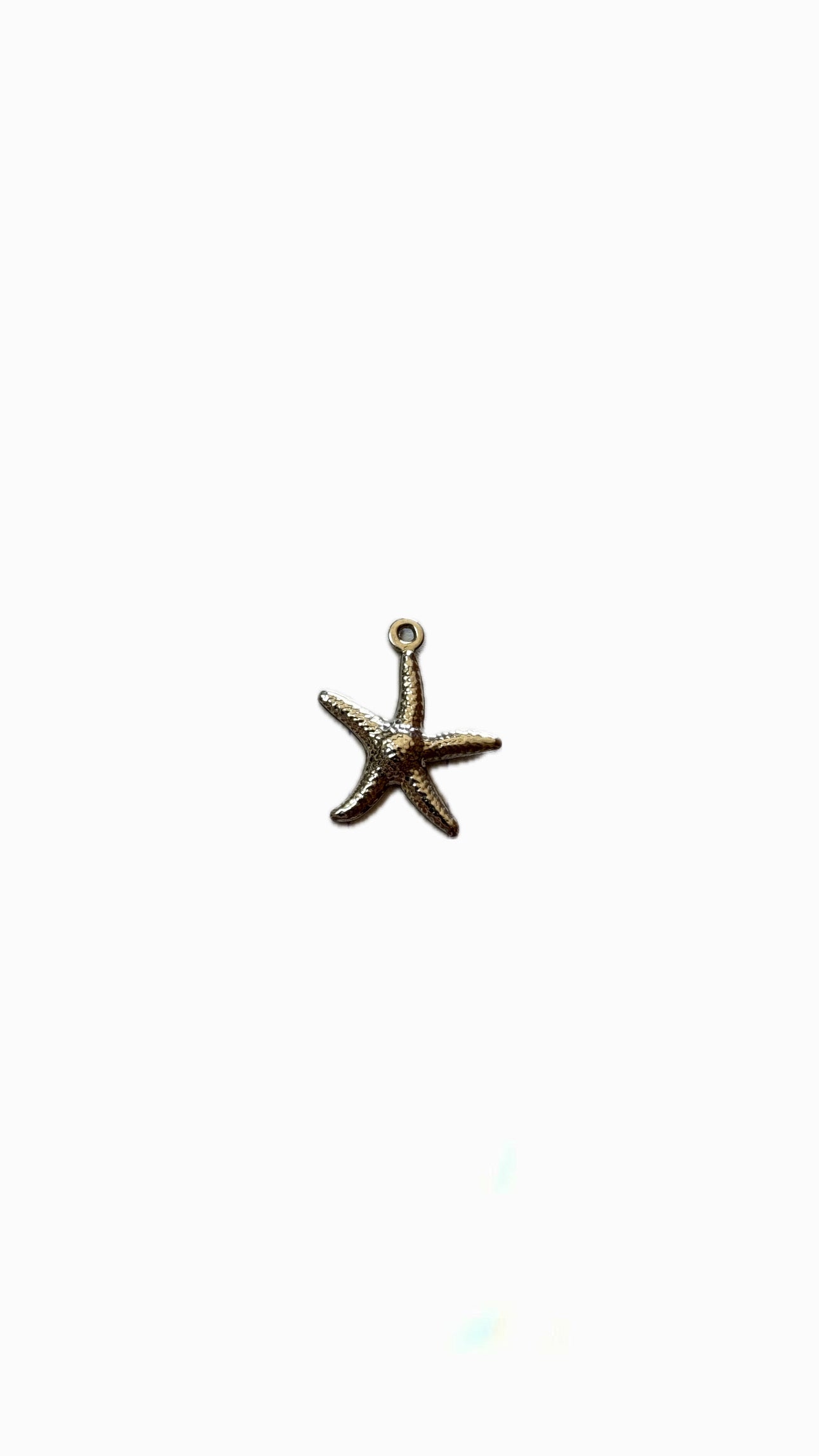 22- Charm Étoile de mer