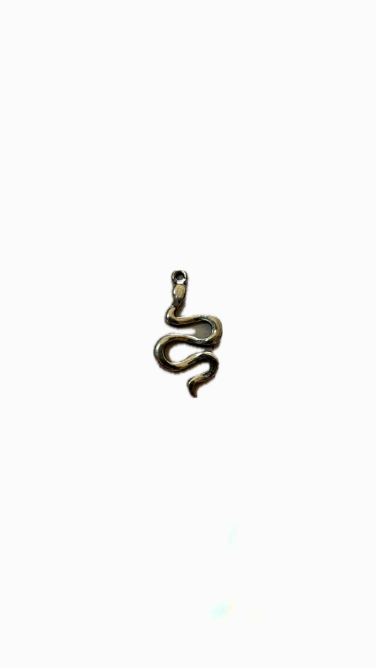 19- Charm Serpent
