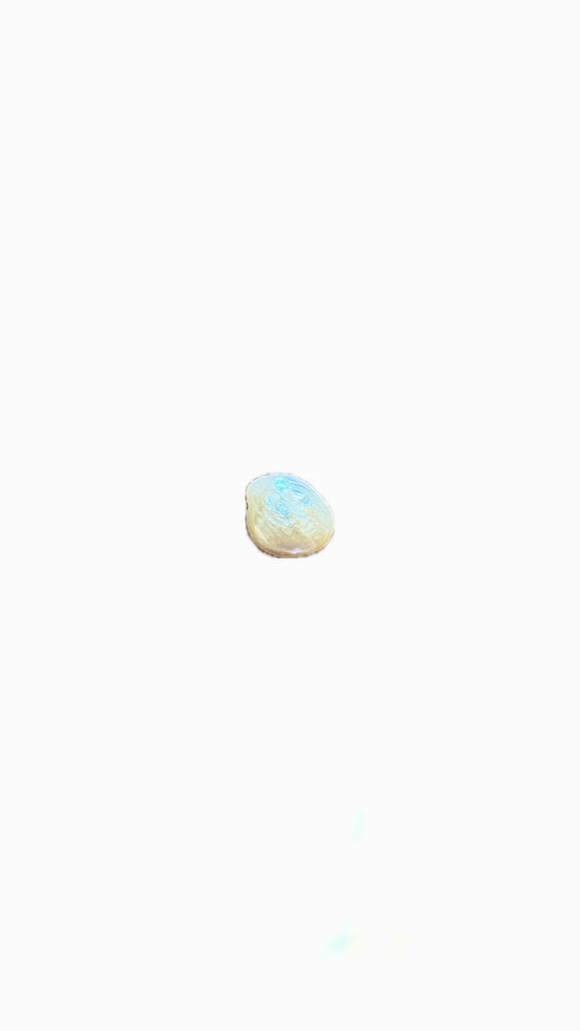 41- Charm Petite perle d’eau douce