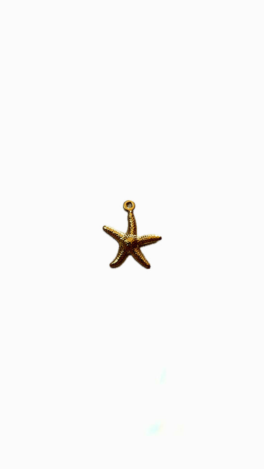 22- Charm Étoile de mer