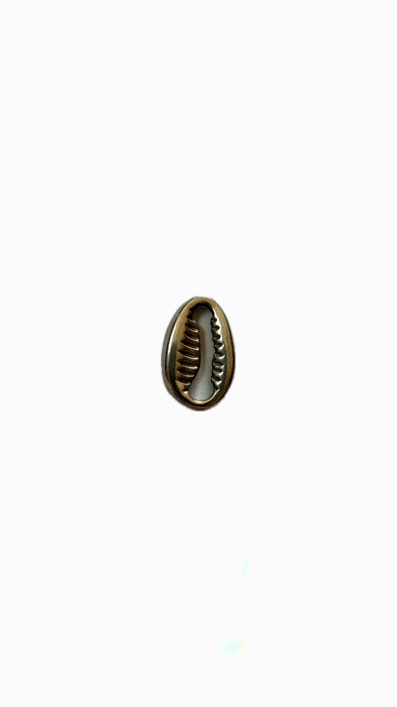2- Charm Coquillage
