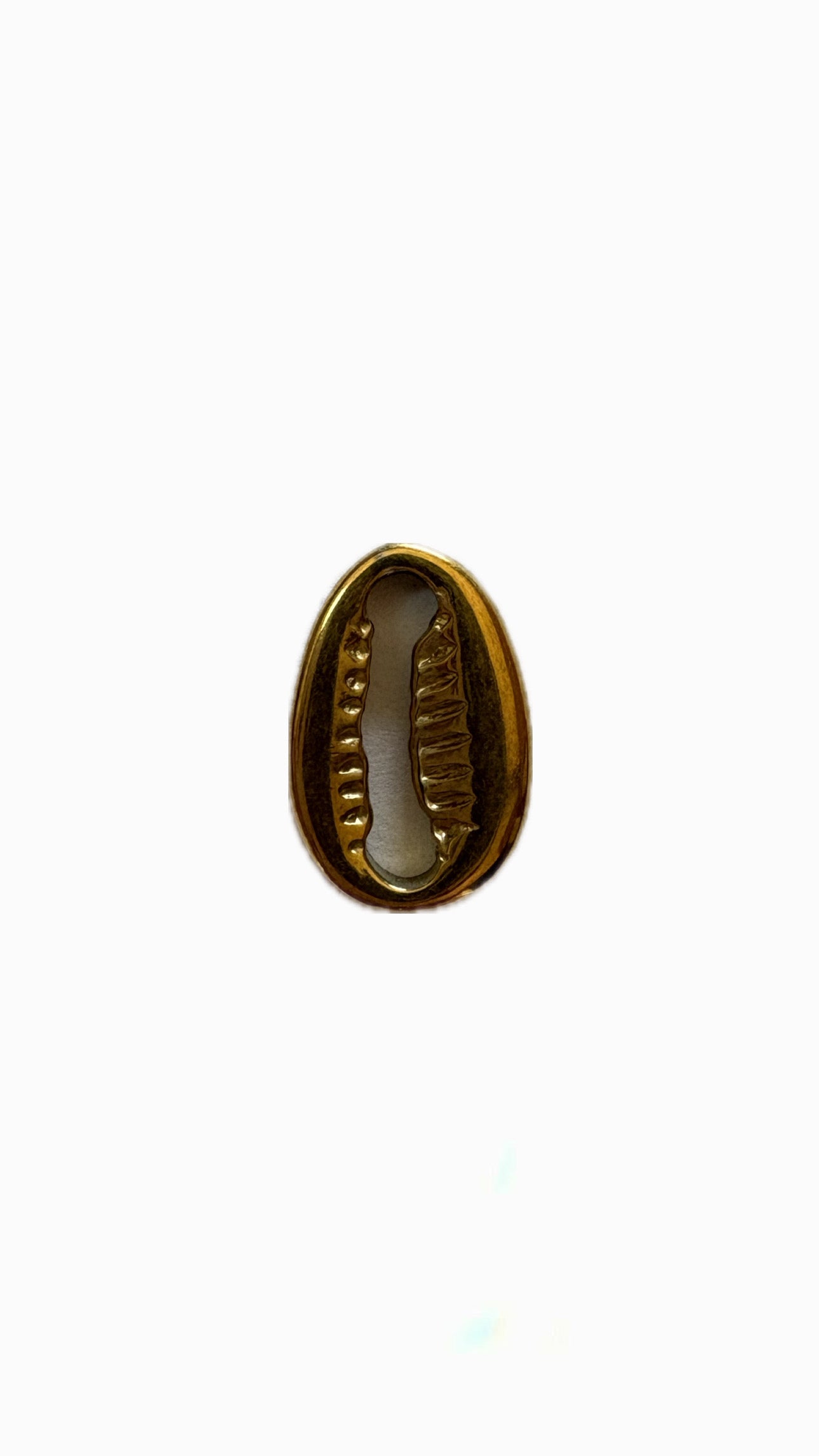 2- Charm Coquillage