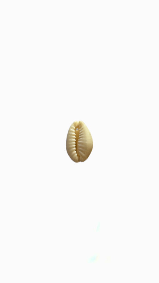 39- Charm Coquillage