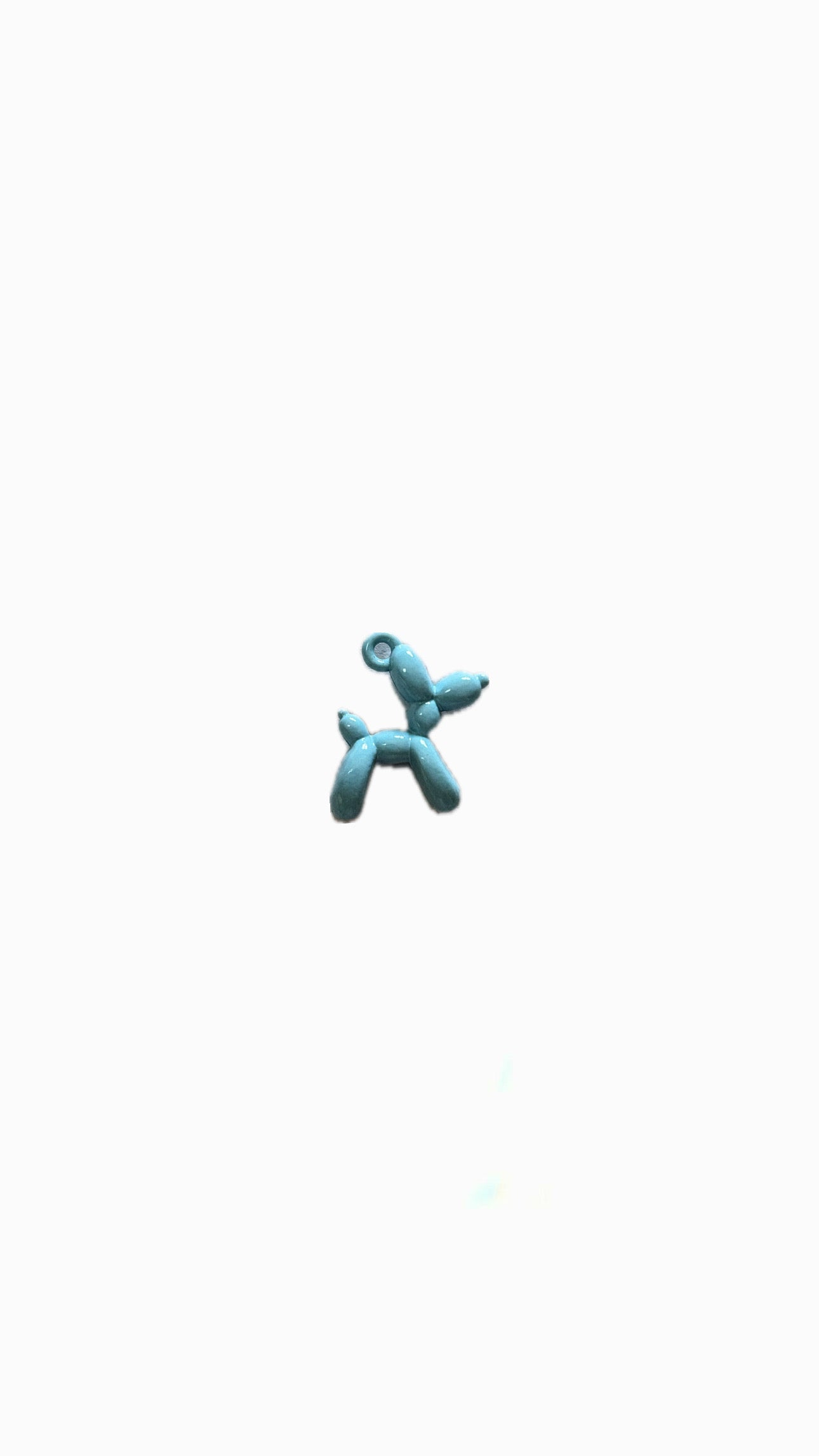 43- Charm chien coloré